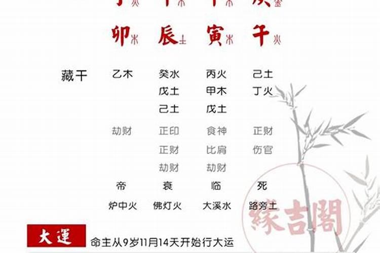 离婚新婚姻法2023