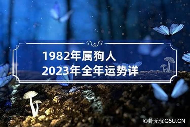 属狗1982年2023年运势及运程