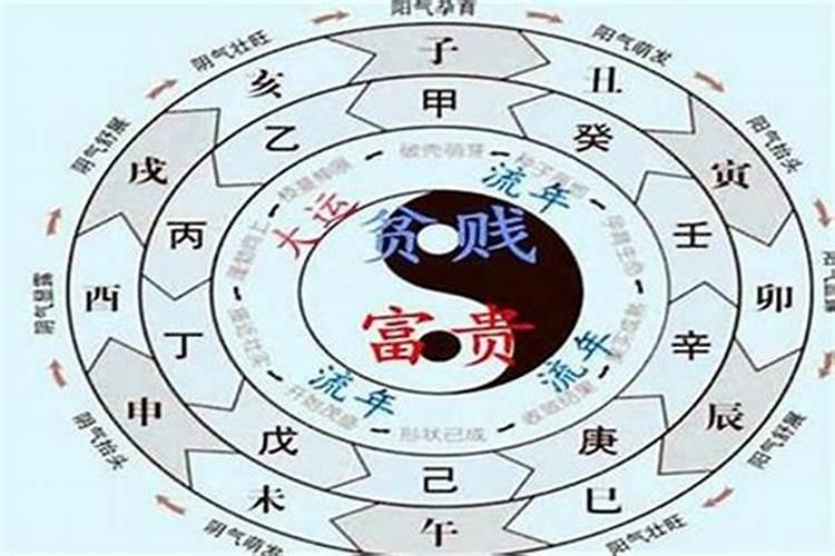 麦玲玲12生肖2022年