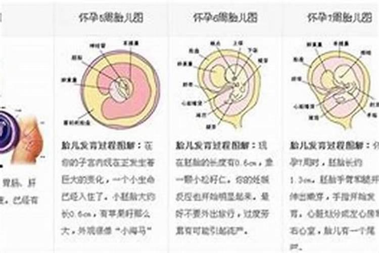 梦见自己被开除了预示什么预兆