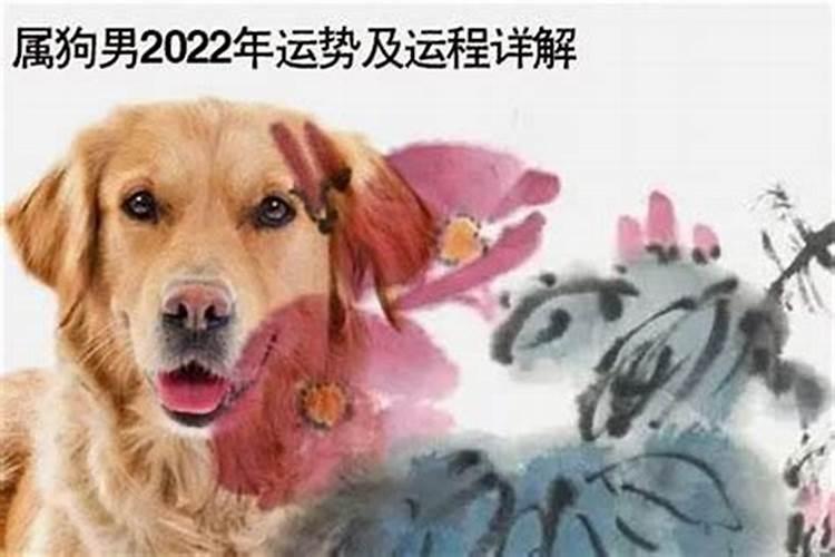 2022年属狗整体运势怎么样