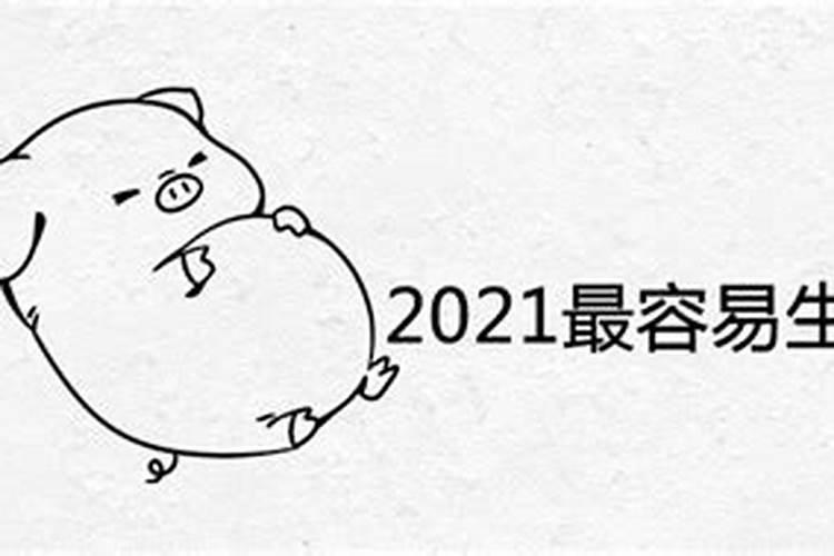 2021容易生男宝的生肖女