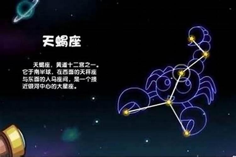 11月21日的天蝎女和哪个星座最配