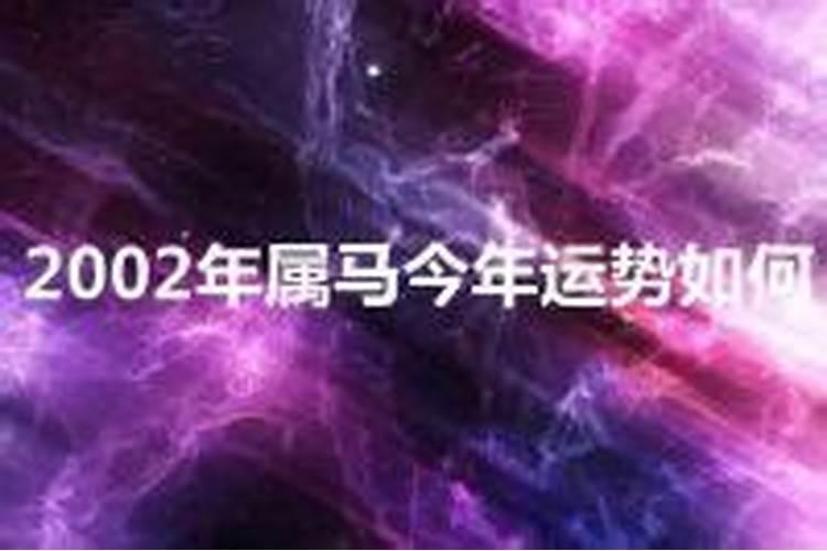 属马2002年出生今年运势怎么样