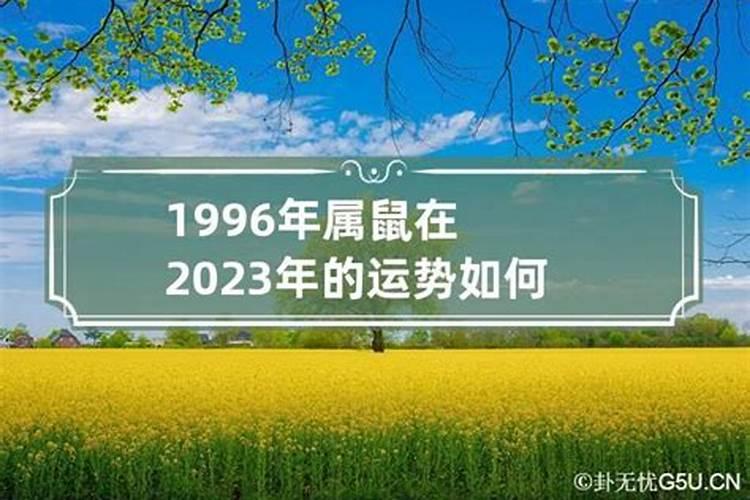 属鼠在2023年运势如何