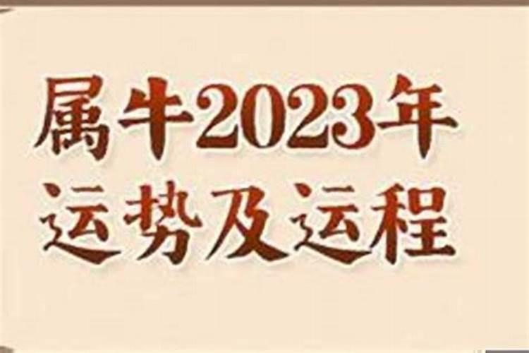 1973属牛2023牛运势