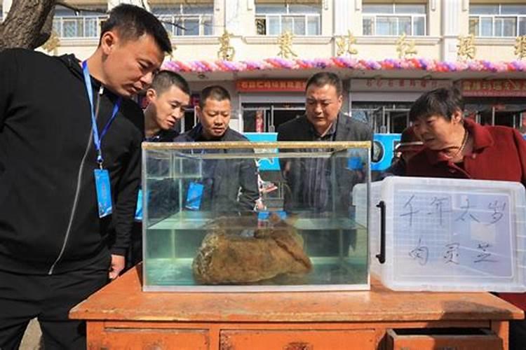 地里挖出太岁是什么东西