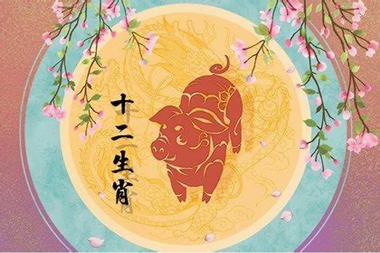 生肖属猪的今年多少岁