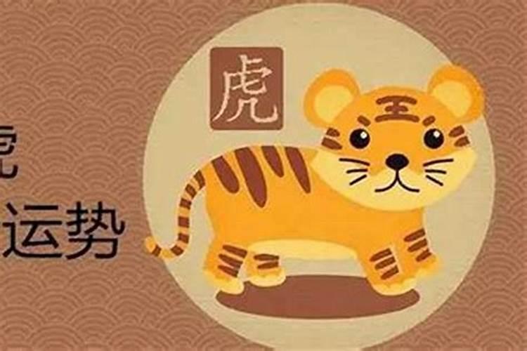 生肖女猪与什么生肖最配