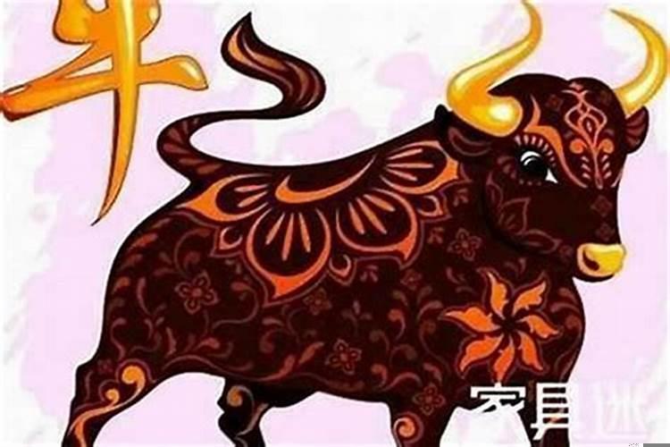 属牛的今年运势2021每月运势如何