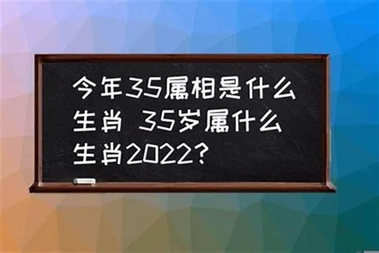 今年36岁是属什么生肖的呢