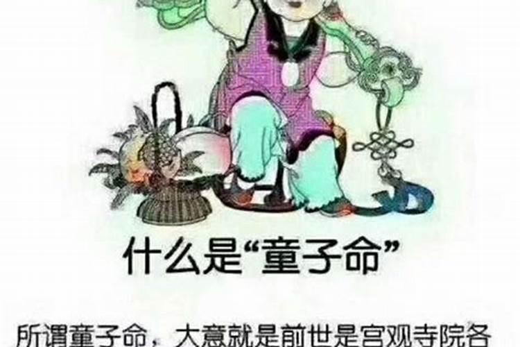 犯太岁看年柱还是日柱