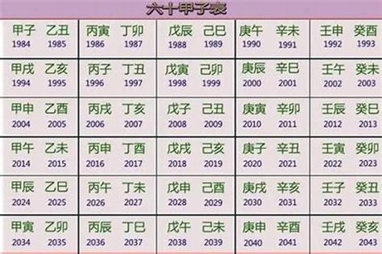 2023年兔的五行是什么