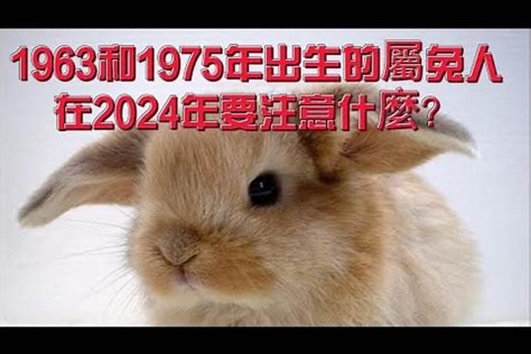 兔1963年女命2o21年运势