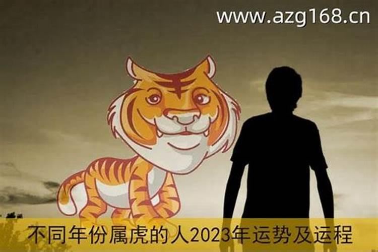 1998生肖虎2023年运势大全