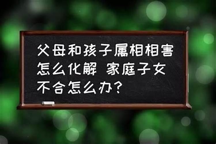 父母属相跟孩子属相不合怎么办呢视频