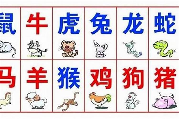 八字在十二生肖中属什么生肖