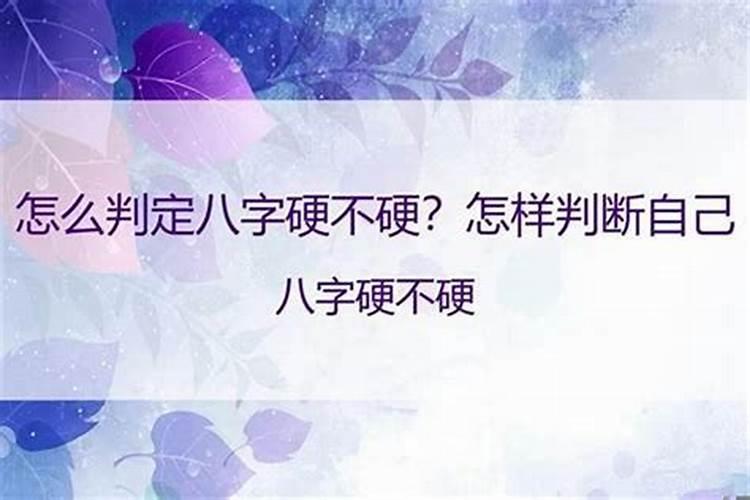 番禺算命大师是谁啊