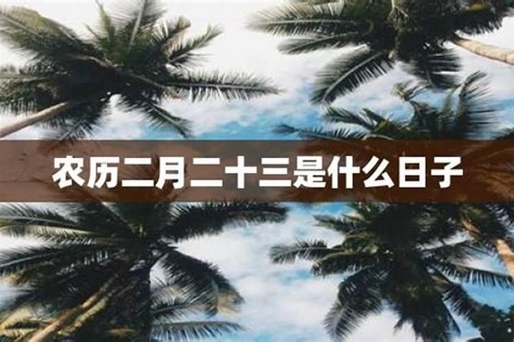 2021农历二月二十三日子好不好