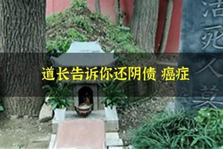 兔属相犯太岁怎么破解的