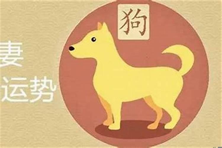 犯太岁如何转财运呢