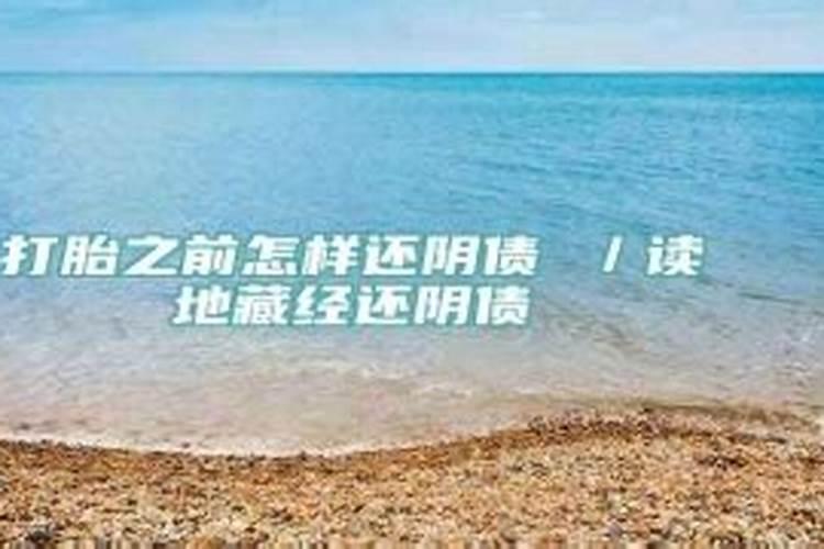 属猪的人2022运气怎么样