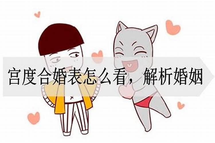 男女宫度合婚怎么看