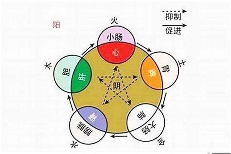 2023年属兔桃花运势