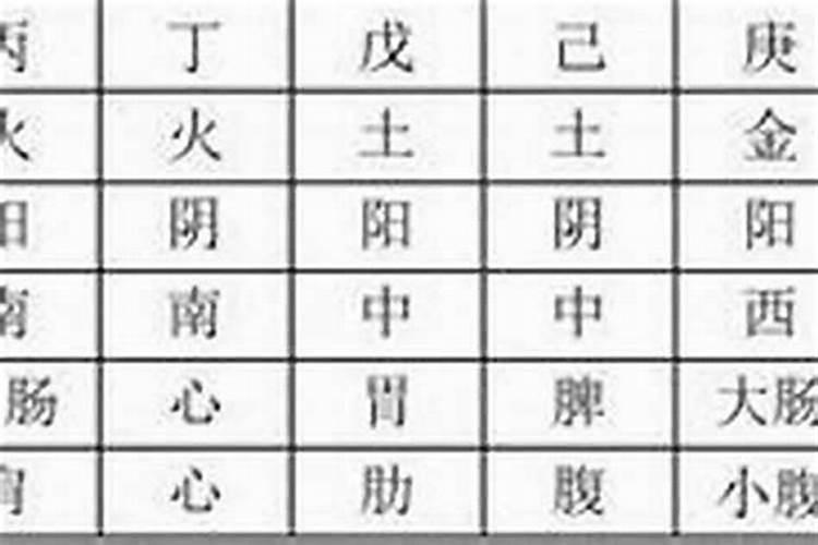 八字命理多久能学会