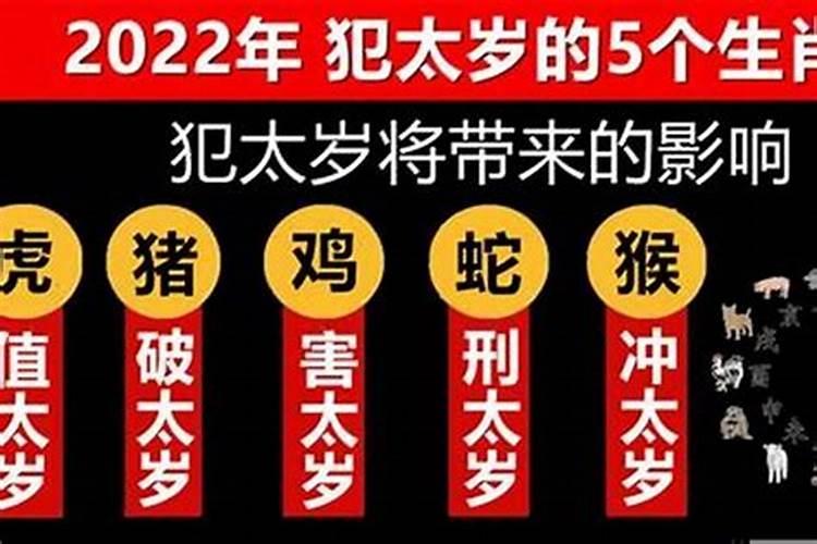 属马今年犯太岁吗2022年运势