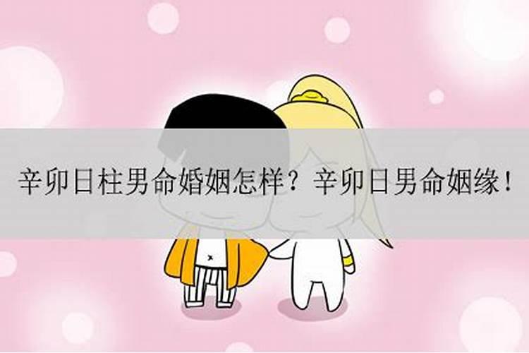 属猪和属什么的结婚好