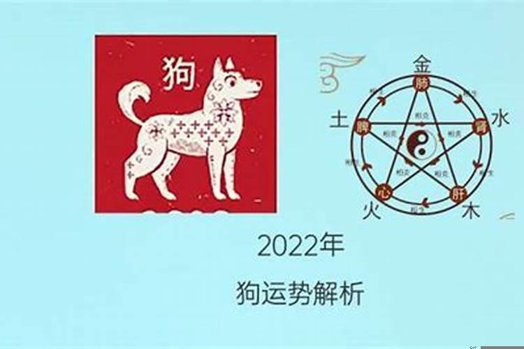 2006年属狗2021年运程