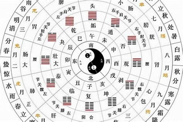 五行命是看年还是月