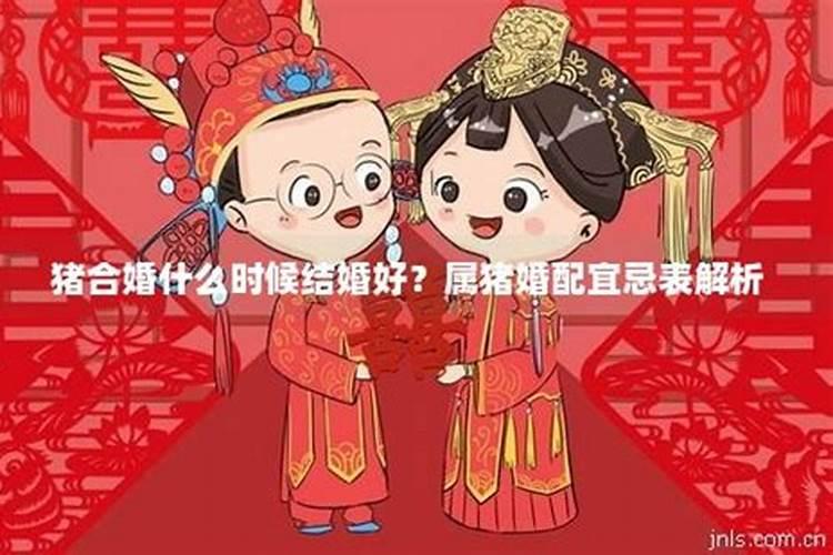 合婚订婚是什么意思呢