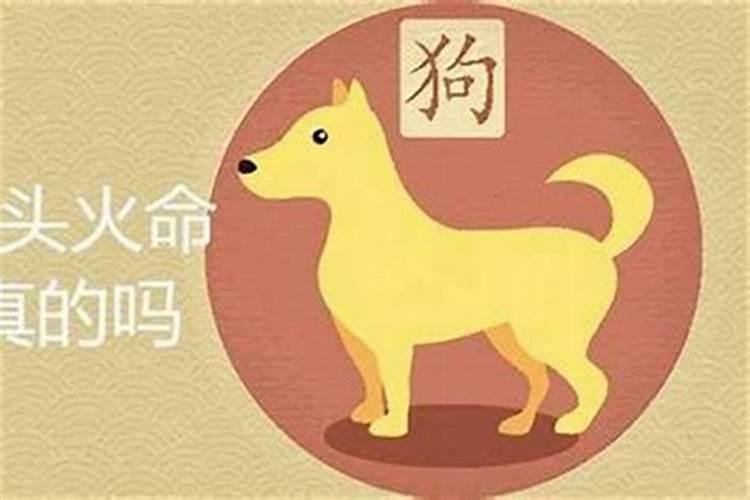 属狗今年带什么生肖好