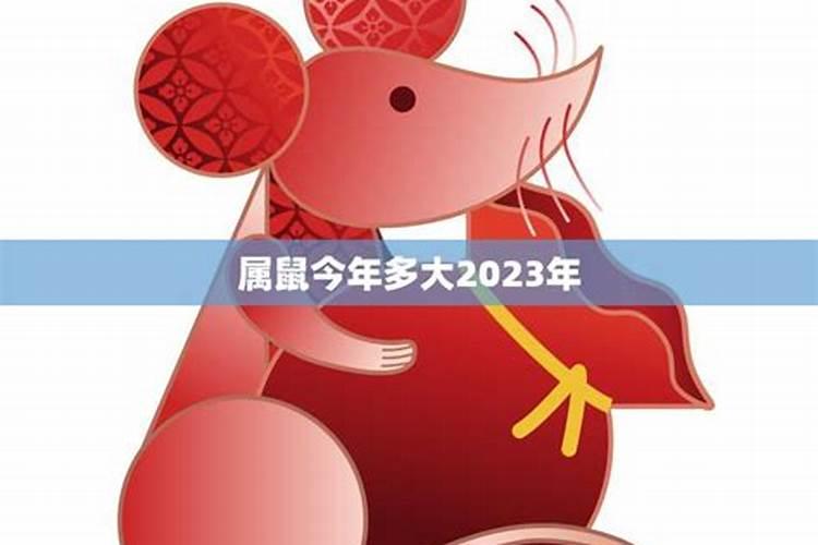 属鼠的今年多大2021