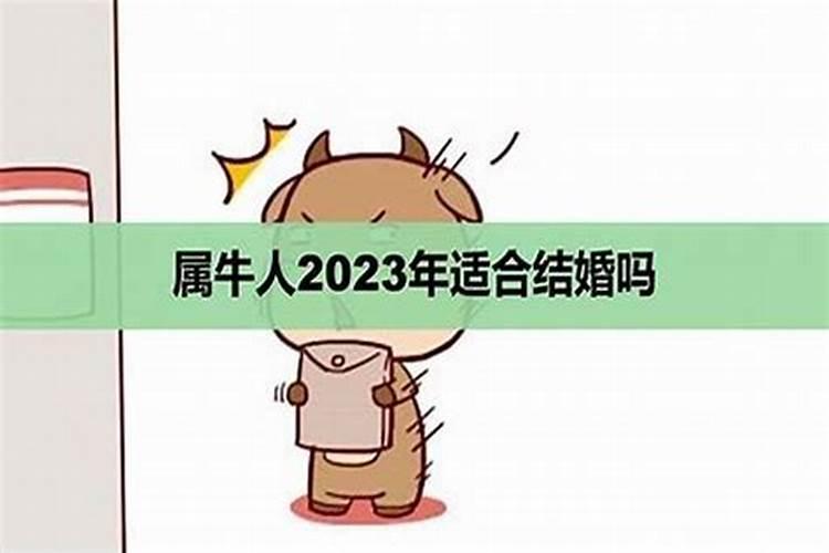 2022年属蛇犯太岁化解的配饰