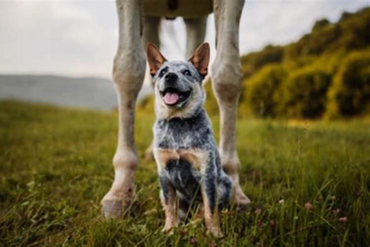 犯太岁影响几年后怀孕生孩子吗