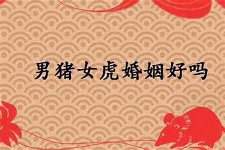 属虎人为什么婚姻不顺呢