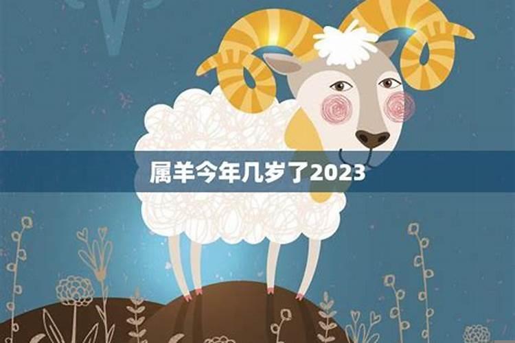 属羊今年几岁2020