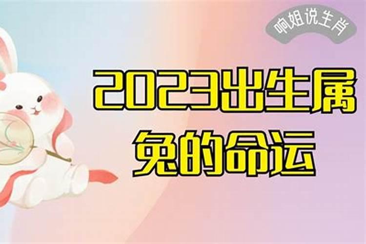 属狗和属兔2020适合在一起吗