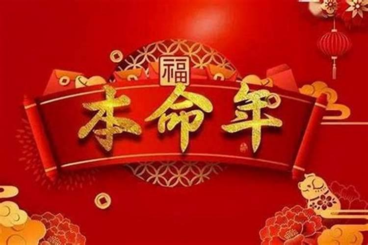 属兔人鼠年犯太岁吗怎么破解