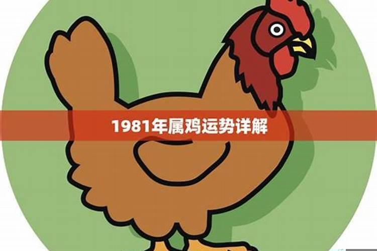 2021年1981年属鸡人运势