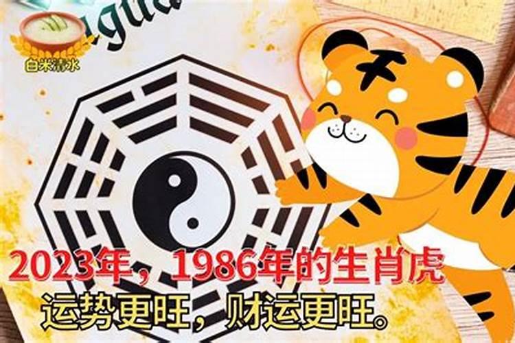 1986年属虎2021年的运势和婚姻