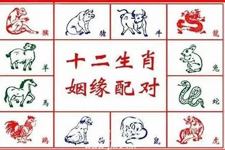 八字如何看七杀伤官