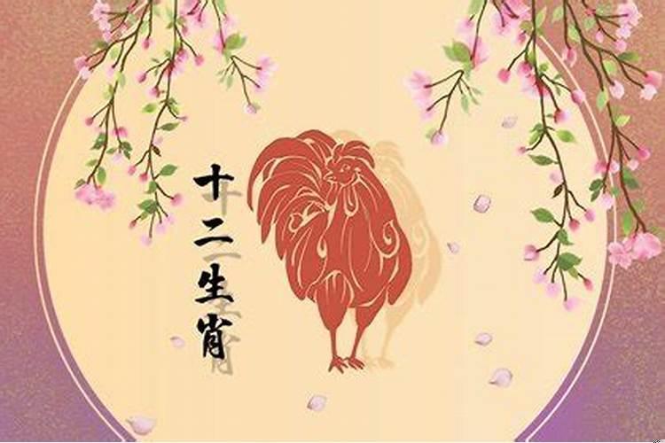 今年属鸡生肖运气好不好