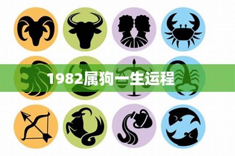 2022年1982年属狗人的全年运势