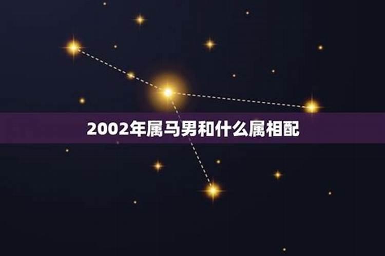 2002年属马的最佳婚配属相是什么生肖