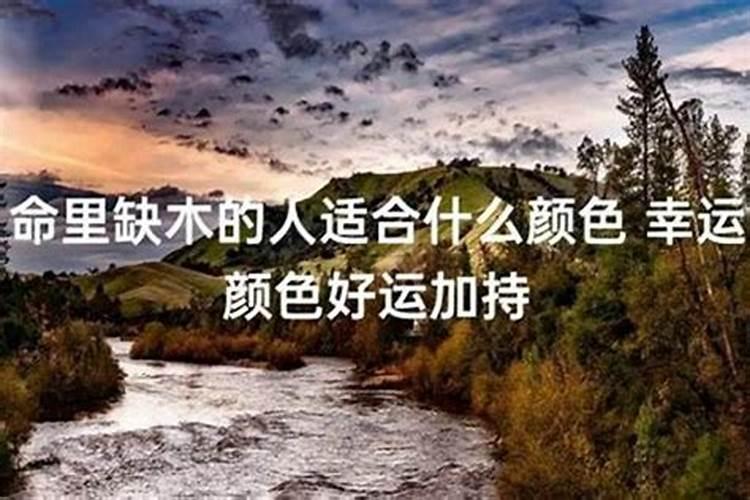 梦见被蛇咬了但是没出血什么寓意