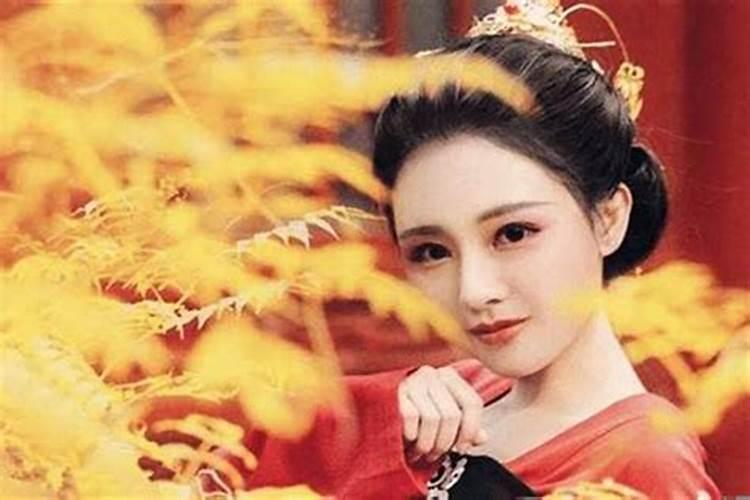 11月18日生日是什么星座的人女性